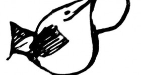 Some Bird