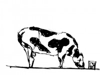 Some Cow