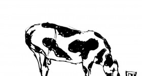 Some Cow